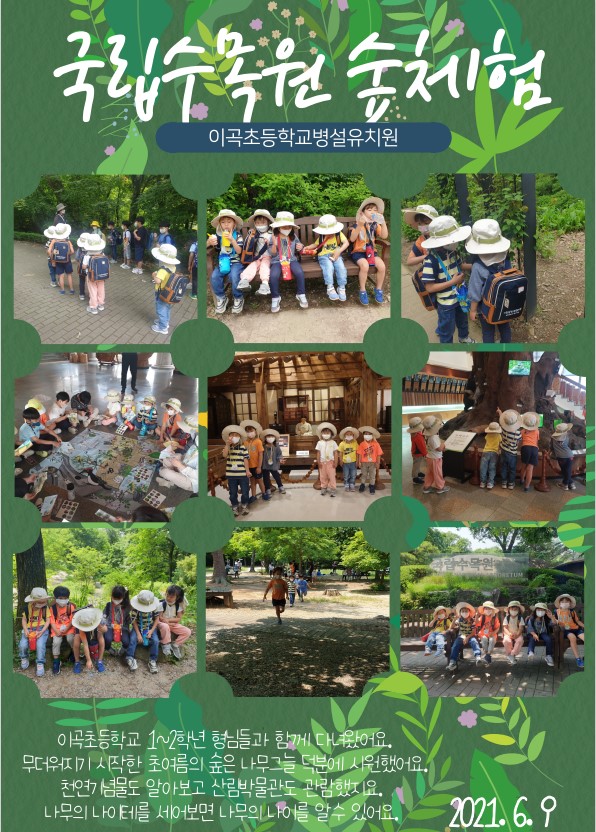 [일반] 유치원소개)2021학년도 유치원 숲체험 활동의 첨부이미지 2